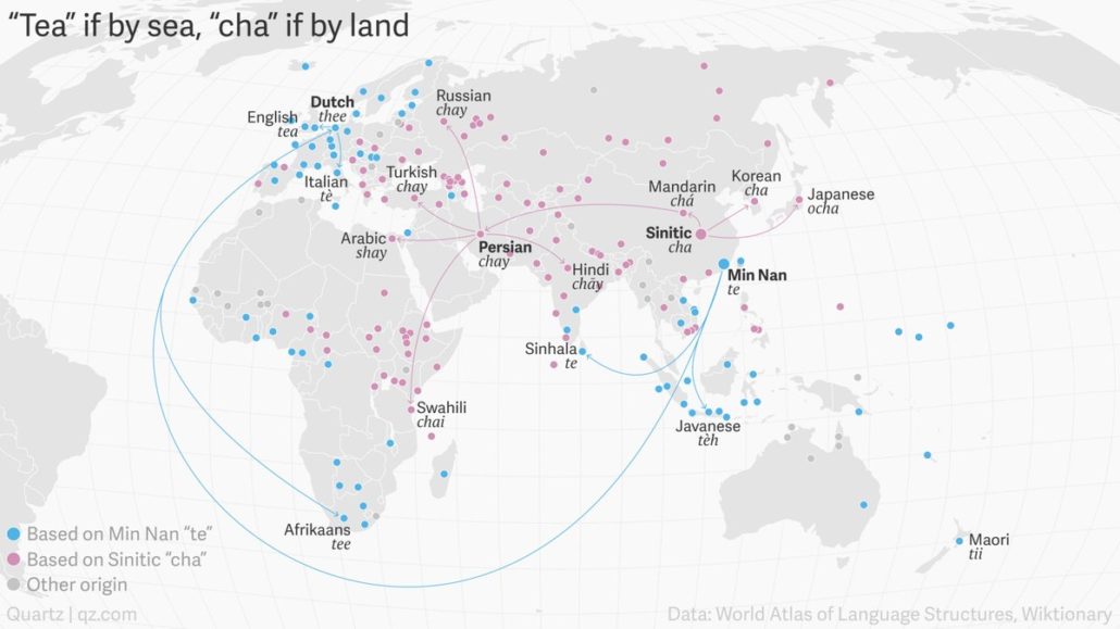 How the word tea spread around the world