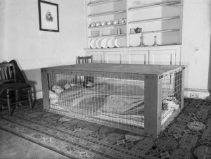 Alternative to outdoor bomb shelters has been introduced in UK; Morrison Shelter, an indoor sleeping cage to protect against shrapnel, broken glass & roof collapse.