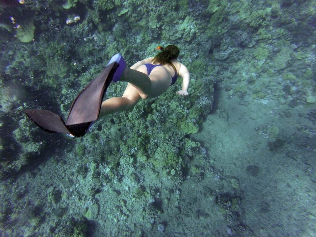 Snorkeling Snorkelling Diving Underwater Woman