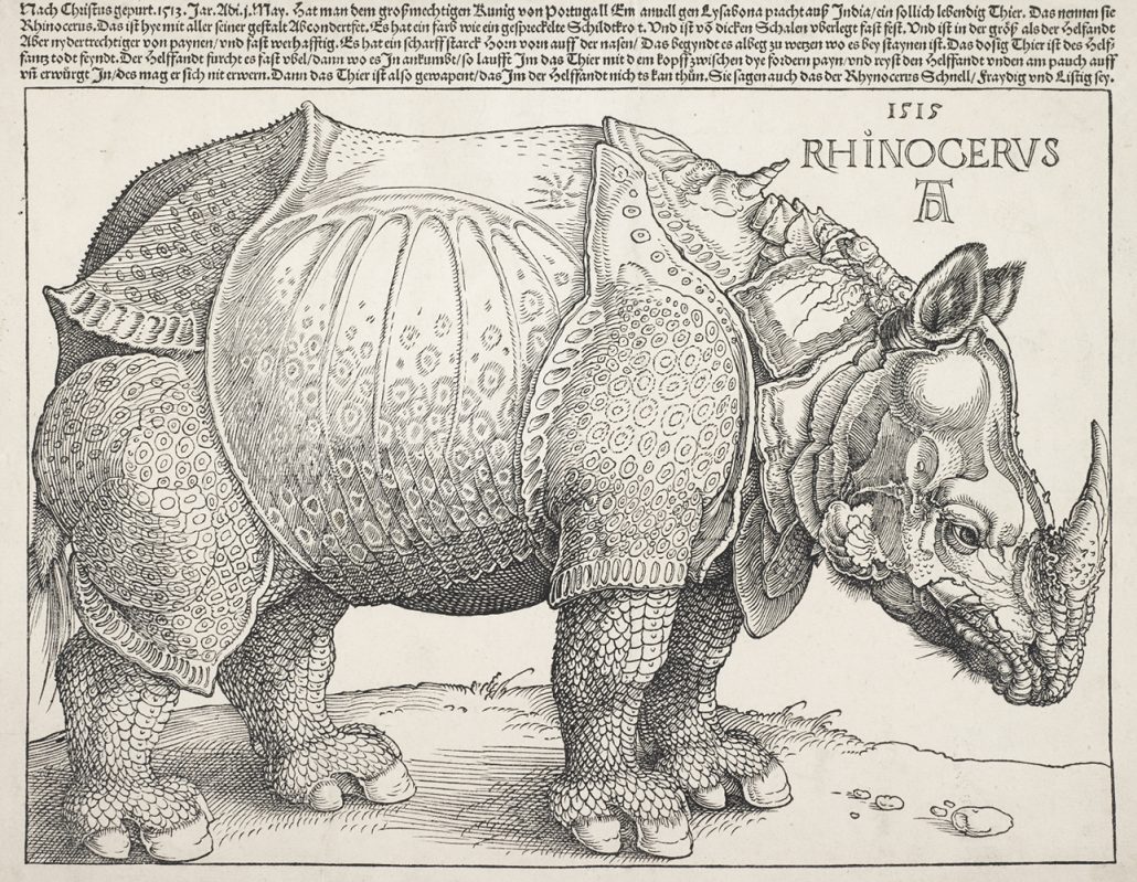 Albrecht Dürer (1471–1528), Rhinoceros. Woodcut, 1515.