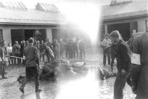SS killing squads- "Einsatzgruppen"- follow German advance into the USSR, committing & encouraging massacres of Jews & Communists