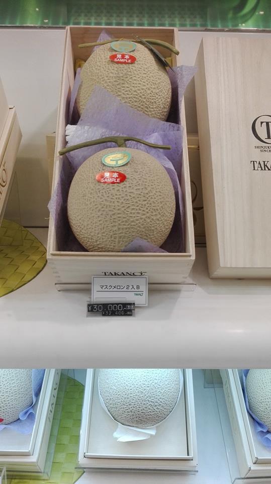 Yubari King (夕張メロン) melon Japan, Cucumis melo