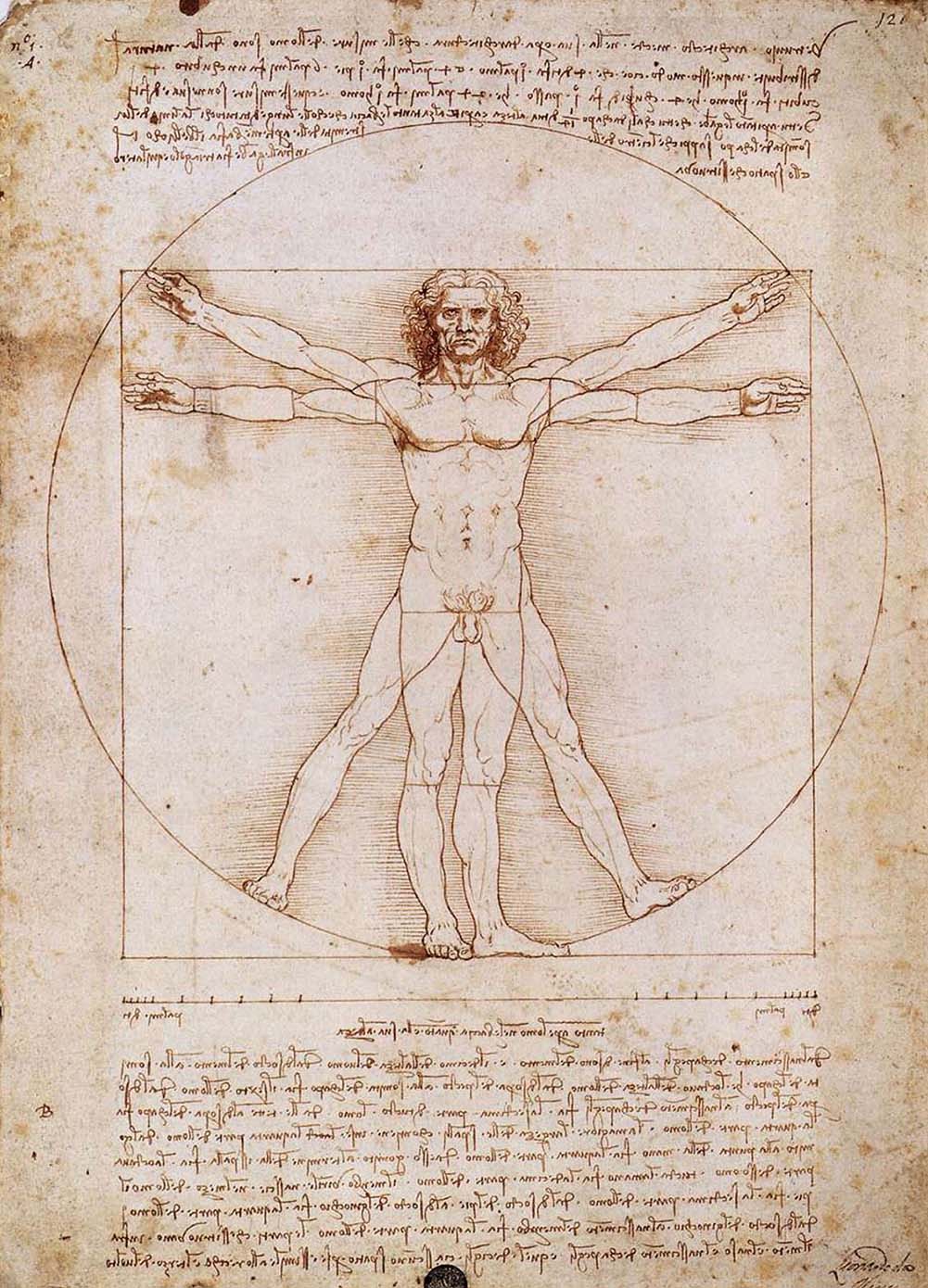 Leonardo Da Vinci'nin Vitruvius Adamı